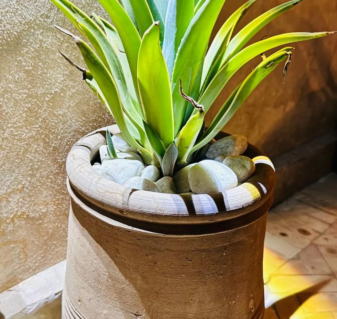 마라케시 Riad Inara 빌라 모로코